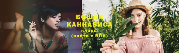 гидра Володарск