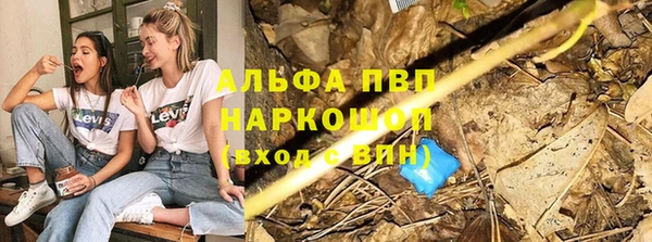 тгк Осташков
