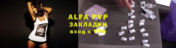 дживик Весьегонск