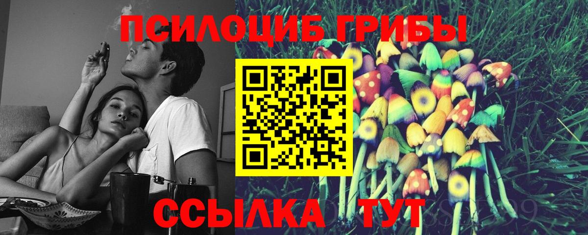 Псилоцибиновые грибы Psilocybe Набережные Челны